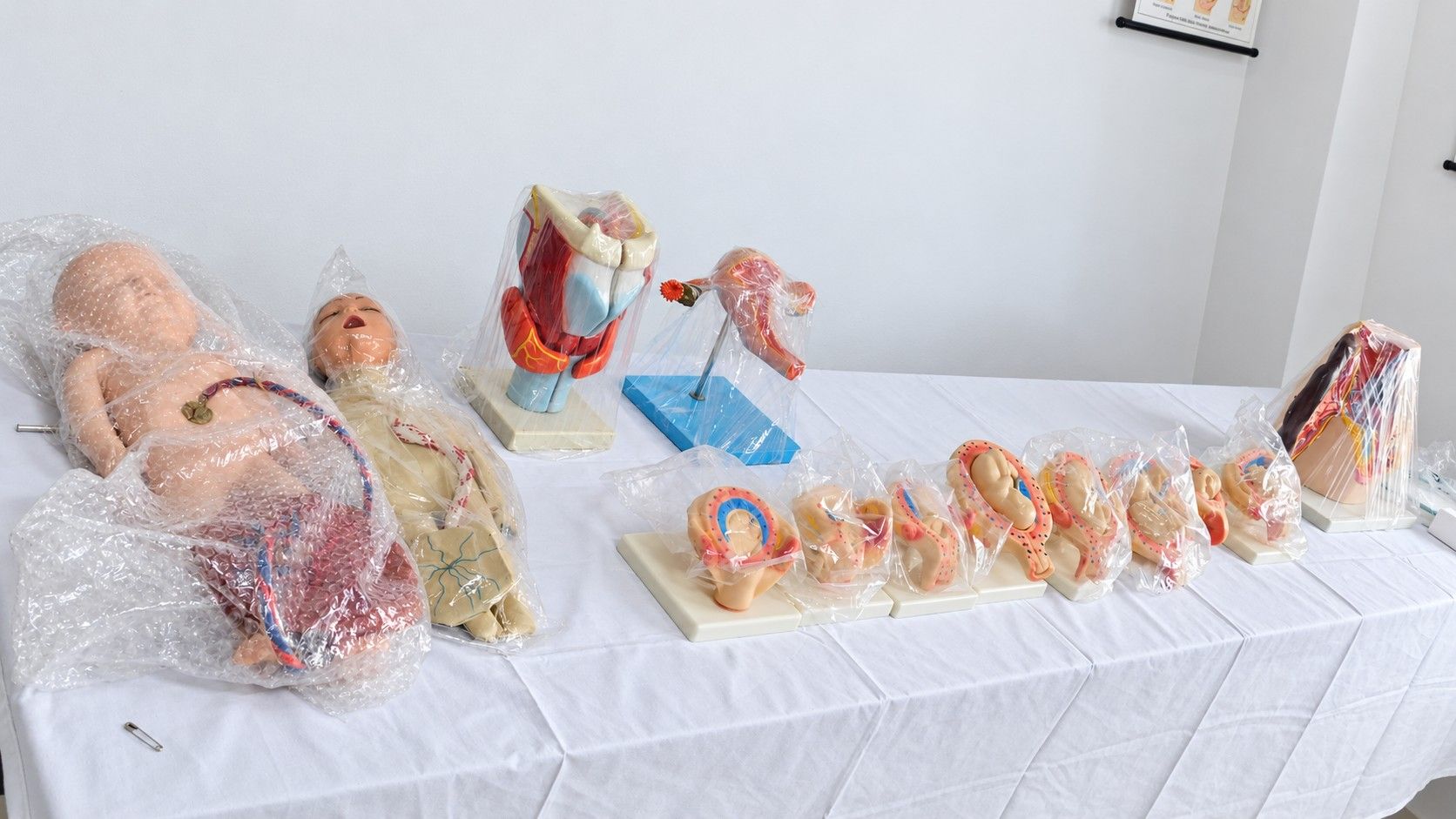 Obstetrics and Gynaecology Laboratory