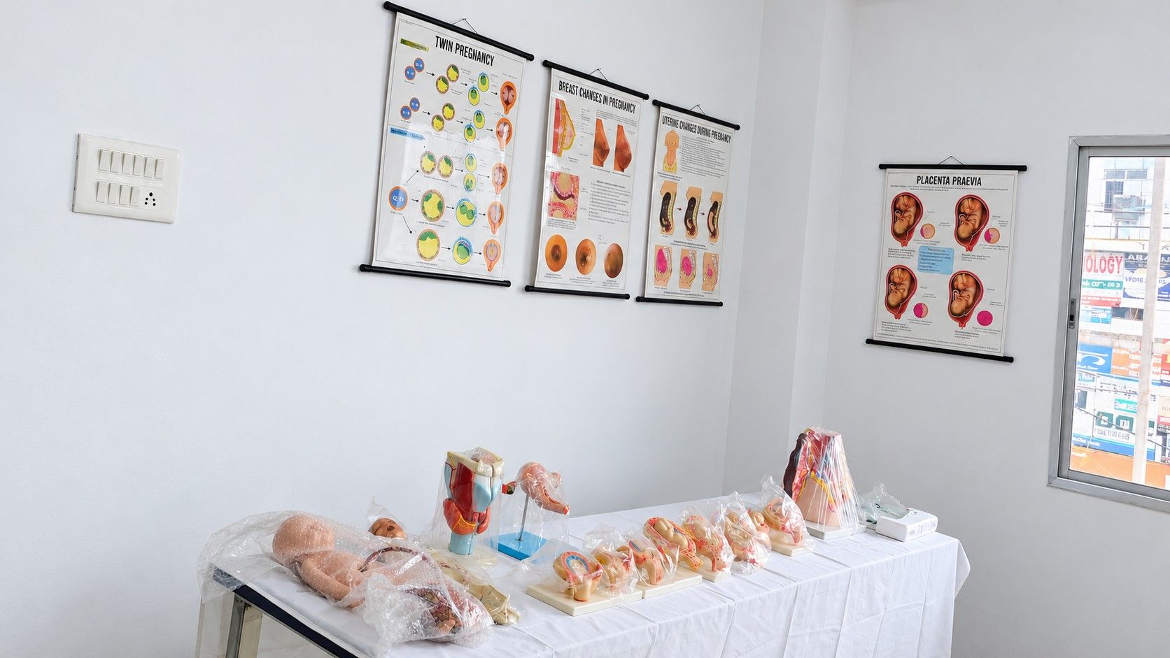 Obstetrics and Gynaecology Laboratory, teaching charts and models