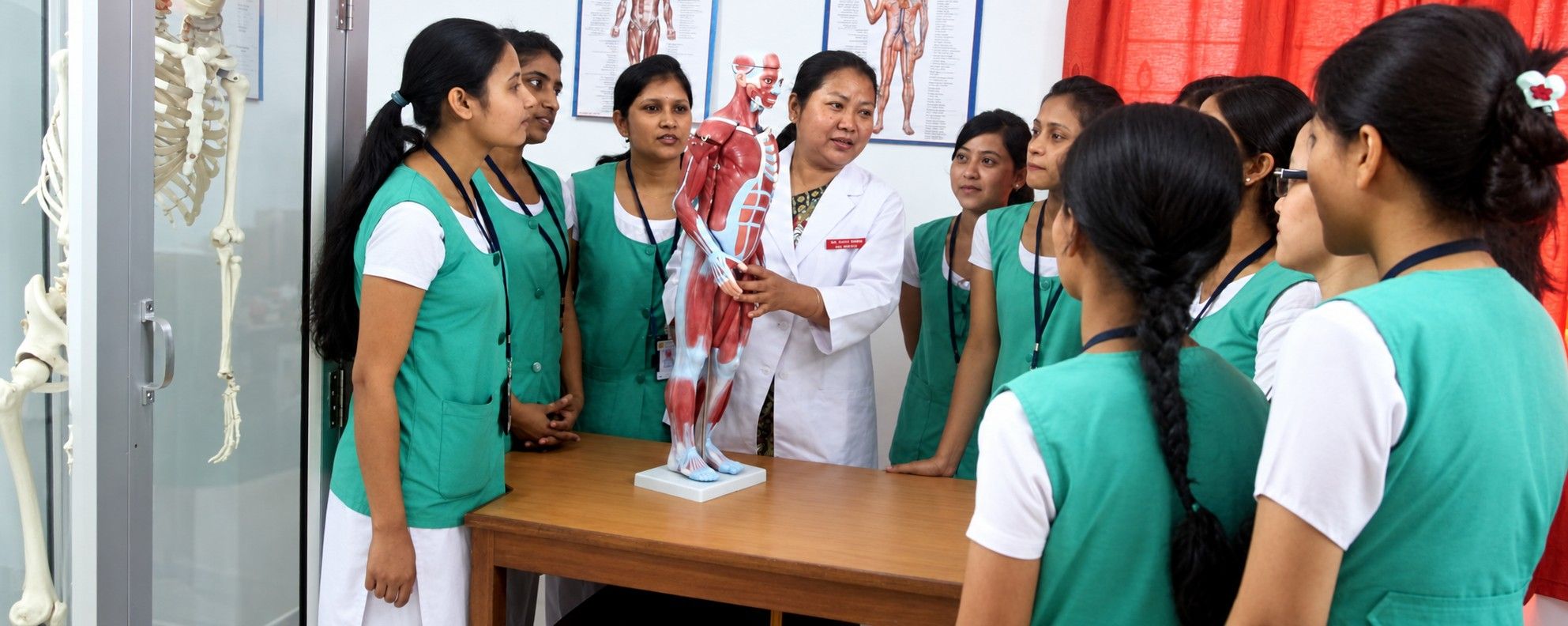 Students with an anatomy model